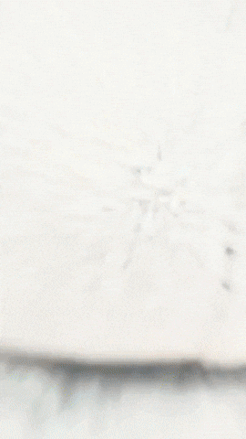 Happy Fun GIF by Youtooz