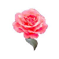 Flower Spring Sticker by Hunter