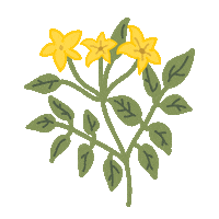 moniitas_ flowers flores primavera plantas Sticker