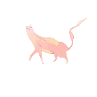 united states submission GIF by The Savannah .GIF Festival