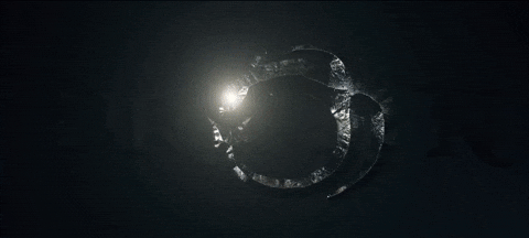 Live Action Dragons GIF by How To Train Your Dragon