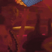 Dance Love GIF by Porta Dos Fundos