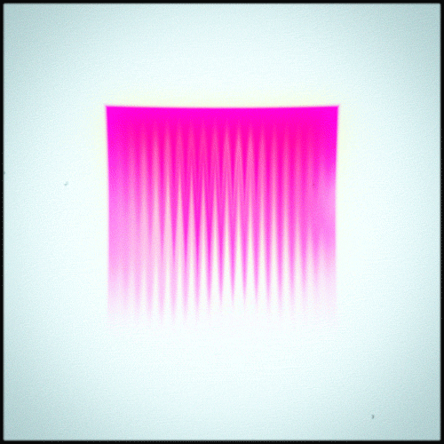 glitch glow GIF by Erica Anderson