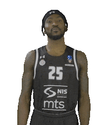 Partizan Sticker by sportmts