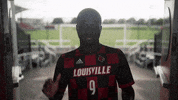University Of Louisville Go Cards GIF by Louisville Cardinals