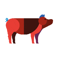 Pig Varken Sticker by Koopeenkoe