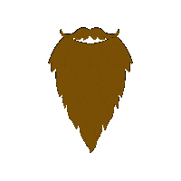 Beard Norway Sticker by Lenoo
