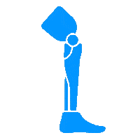 Hand Feet Sticker by CIDOP ortopedia