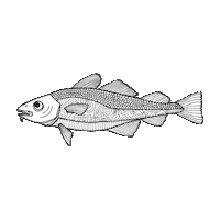 ocean swimming Sticker by Lakor Soulwear