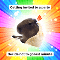 Capybara GIF by Furrend