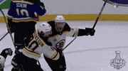ice hockey sport GIF by NHL