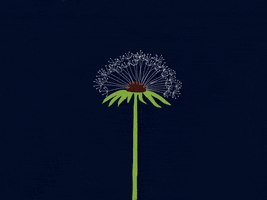 Wishing End Of Year GIF by Barbara Pozzi