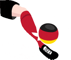 germany soccer Sticker by Deutsche Hochschule für Prävention und Gesundheitsmanagement