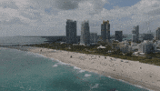 Formula E Racing GIF by Nissan Motorsport