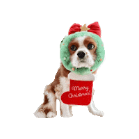 Feliz Navidad Christmas Sticker
