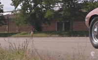 Classic Car Pink GIF by Mecanicus