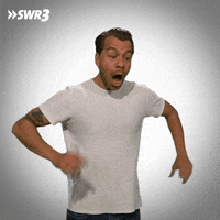 Thats What I Thought Shut Up GIF by SWR3