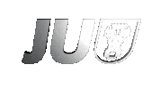 Ju Sauerland Sticker by Junge Union Menden