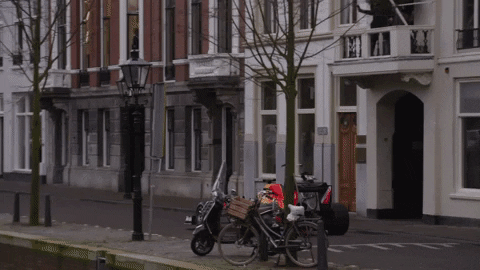 Red Bull F1 GIF by Red Bull Racing