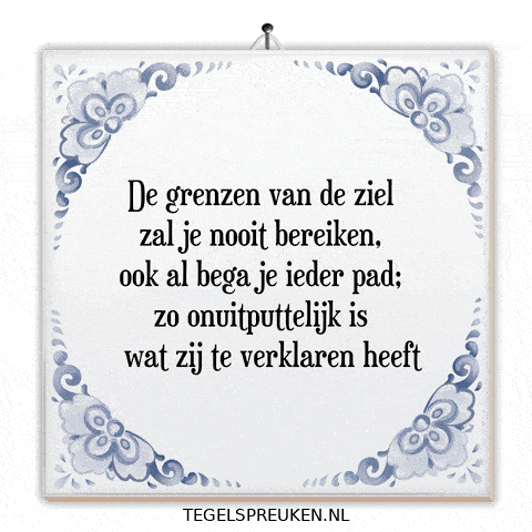 Humor Nl GIF by Tegelspreuken.nl