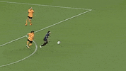 Womens Soccer Ball GIF by National Women's Soccer League