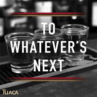 Tuaca celebrate cheers celebrating drinks GIF