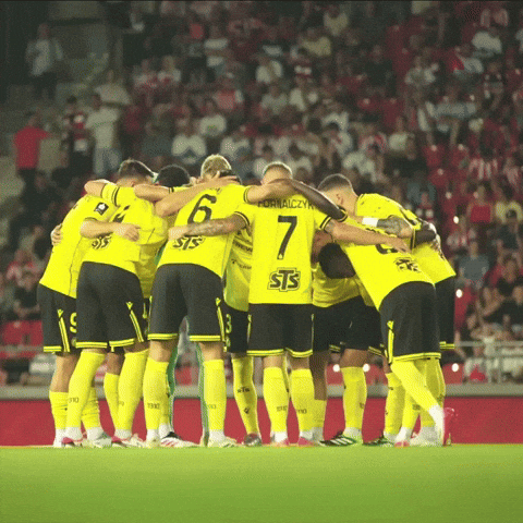 Football Soccer GIF by Widzew Łódź