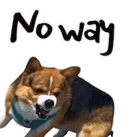 Corgi No Sticker