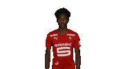 Roazhon Park Rennes Sticker by Stade Rennais F.C.