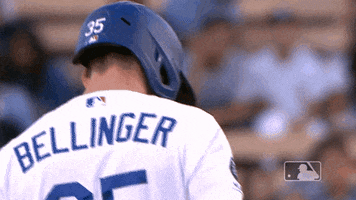 Major League Baseball Sport GIF by MLB