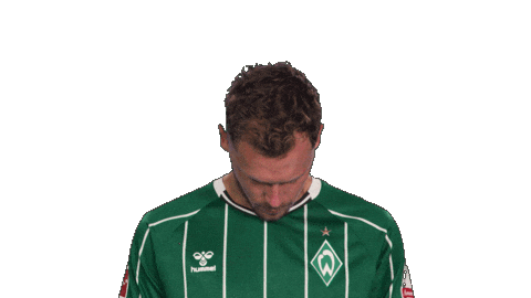 Werder Bremen Sticker by Bundesliga