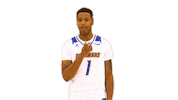 Kevin Anderson Smile Sticker by Delaware Blue Hens