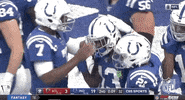 Regular Season Football GIF by NFL