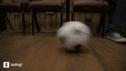 Small Business Football GIF by SumUp