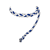 All Ireland Headband Sticker by The GAA - OfficialGAA