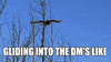 Dms Flirting GIF