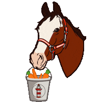 seapinesresort horse woody hhi lowcountry Sticker