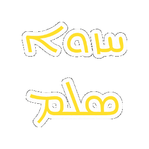 salemsvision giphygifmaker vision salem assyrian Sticker