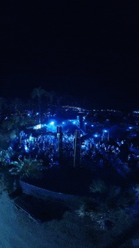 Coachella Greenhouse GIF by foreignerrrrr