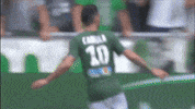 celebration goal GIF by AS Saint-Etienne