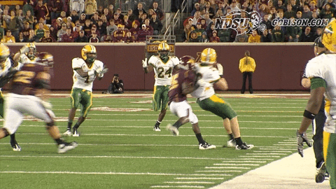 north dakota state football GIF by NDSU Athletics