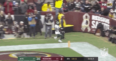2019 Nfl Football GIF by NFL