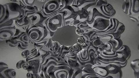 friedpixels giphygifmaker animation black and white motion graphics GIF