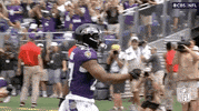 Regular Season Football GIF by NFL