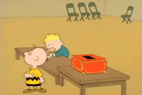 youre not elected charlie brown GIF by Peanuts
