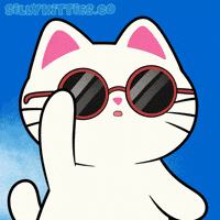 Happy Oh My Gosh GIF by Silly Kitties
