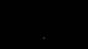 Rapid Wien Tor GIF by SK Rapid