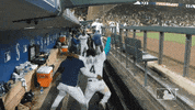 Happy Regular Season GIF by MLB