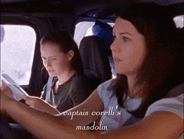 season 2 netflix GIF by Gilmore Girls 