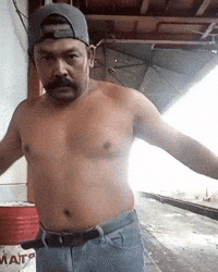 Pisik GIF